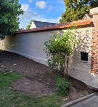 Réfection d'enduit à la chaux sur mur en bauge